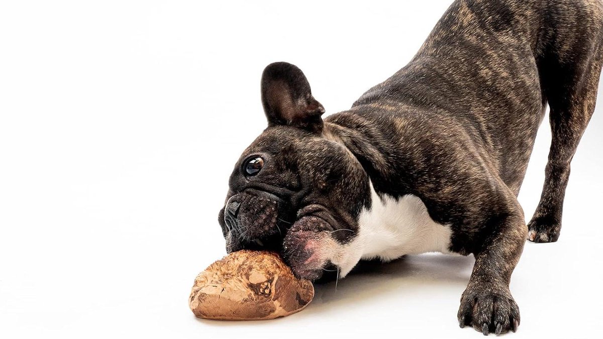 Kauwwortel voor honden - Natuurlijk kauwspeelgoed - Tandverzorging huisdier - Splintert niet veilig - XS-XXL - Natuurlijk