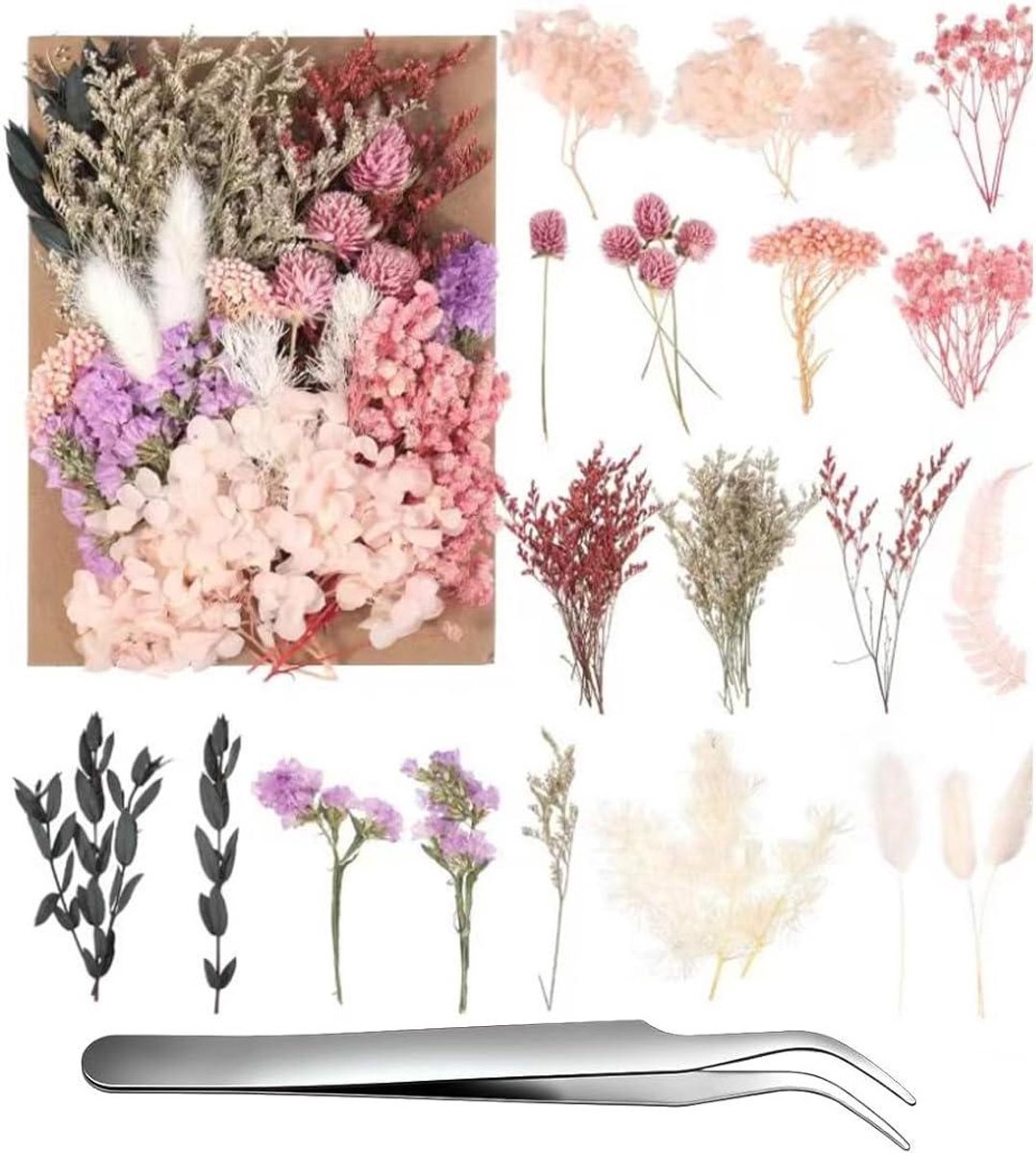 Gedroogde bloemen decoratie - Natuurlijke bloemen - Knutselen en decoreren - Uniek en milieuvriendelijk
