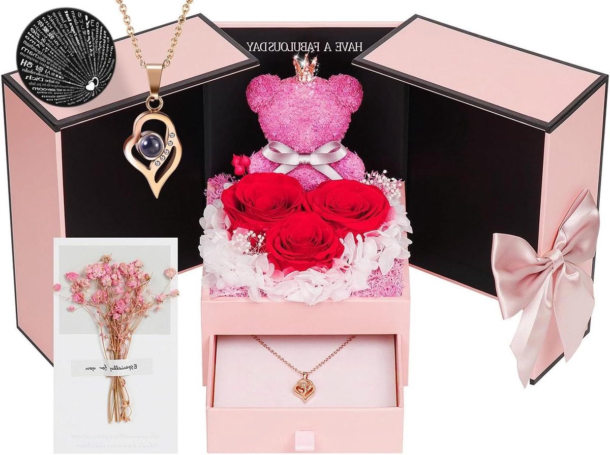 Eeuwige Roos met Ketting - Gepreserveerde Bloem - Cadeau Geven - Natuurlijk Gepreserveerd - 3-5 Jaar Houdbaar - Rood