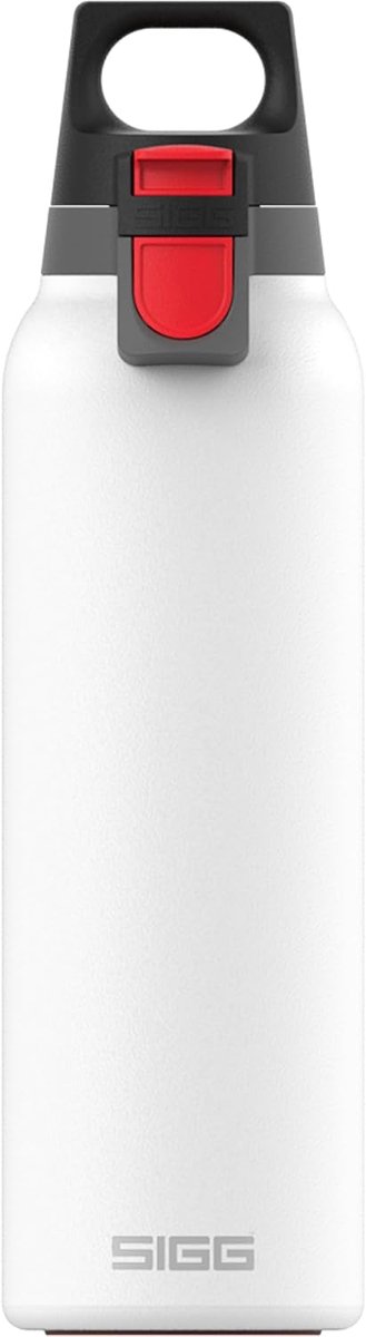 SnelShoppen - Geïsoleerde drinkfles 0,55L - Thermosfles voor heet en koud - Lekvrij - BPA-vrij - RVS 18/8 met theezeef - Handig voor onderweg, camping