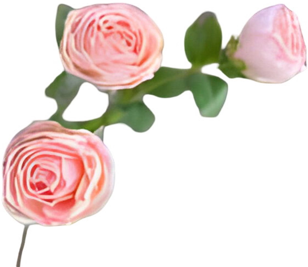 Buitengewoon Boet Roze 3 knopen roze Buitengewoon de Boet
