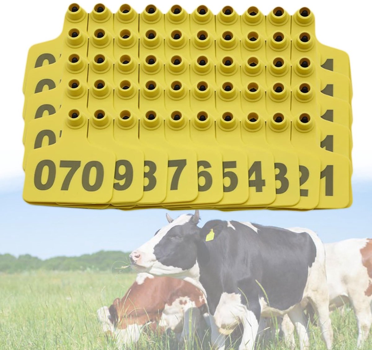 Genummerde kunststof oorlabels - Set van 100 stuks voor dieren