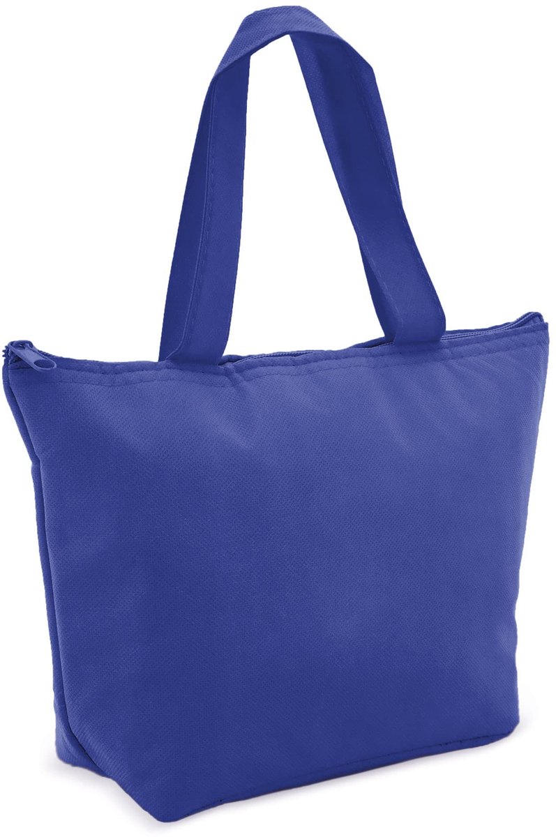 Mini Koeltas - Vouwbaar en Thermisch - Blauw