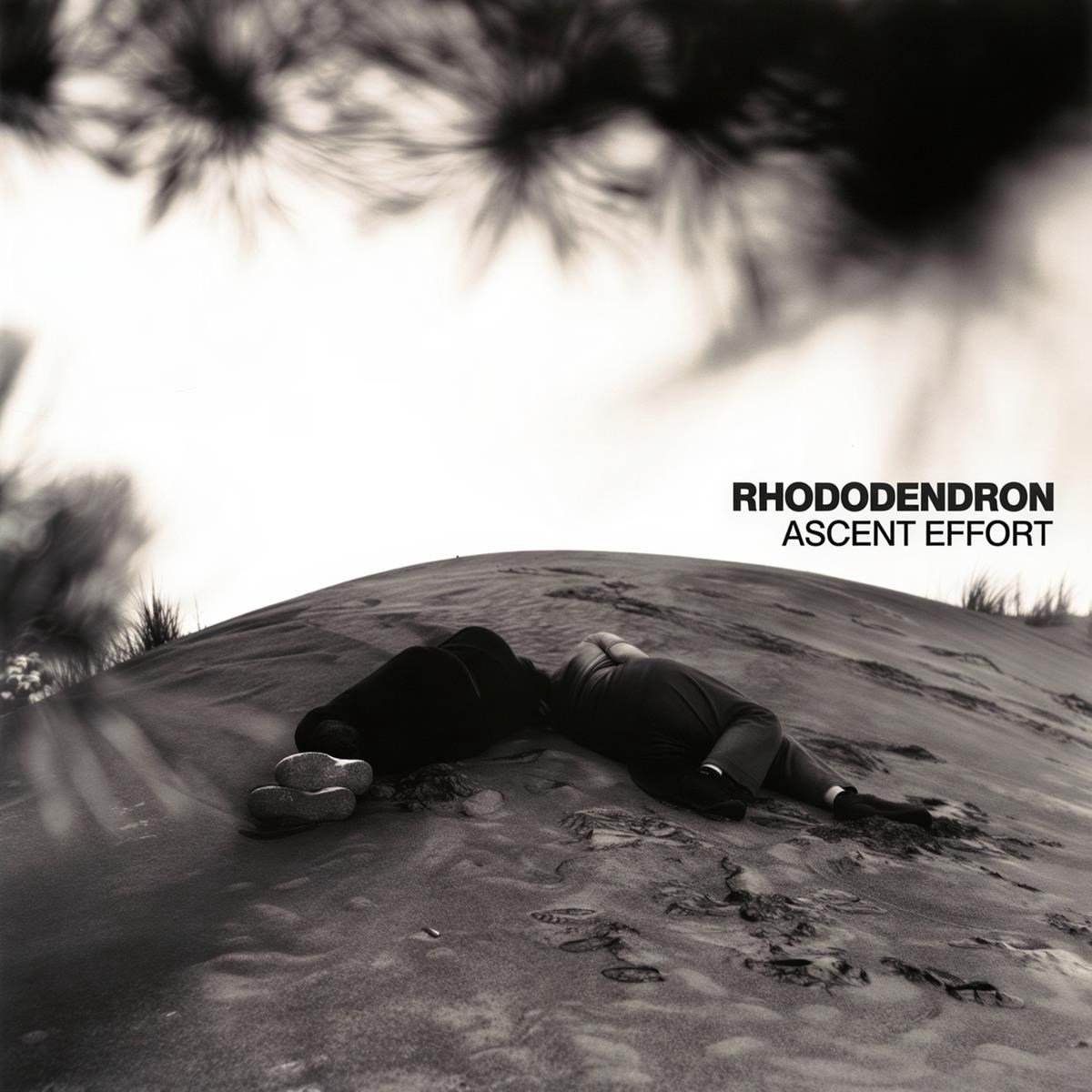 Rhododendron - Ascent Effort (CD)