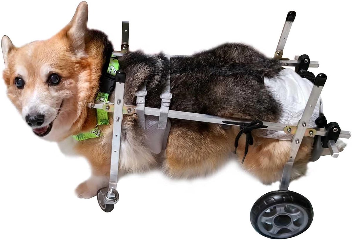 Huisdier Rolstoel - Hondenkar Dierenhulp - Mobiliteit Verbeteren - Verstelbaar Ontwerp - XS - Metaal