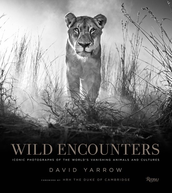 Boek "Wild Encounters" met een leeuwin op de cover, door David Yarrow.