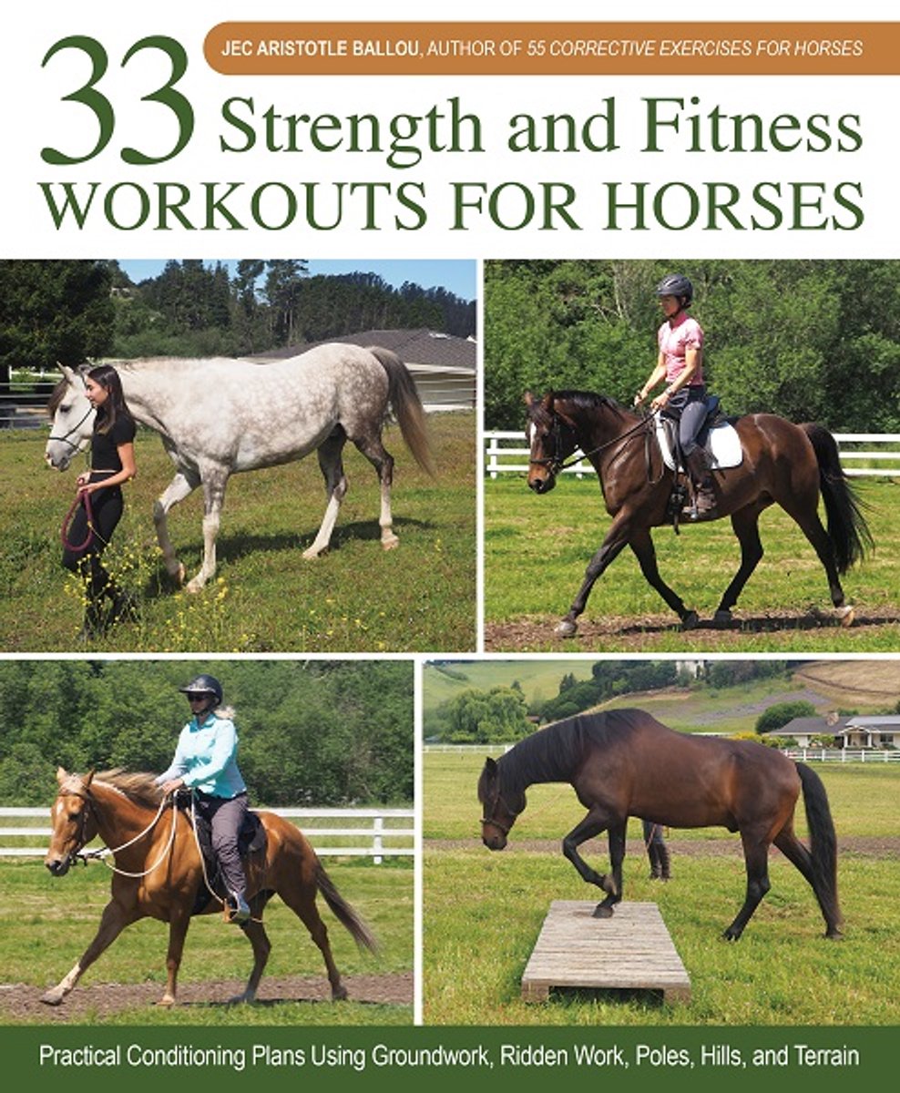 33 Strength And Fitness Workouts For Horses