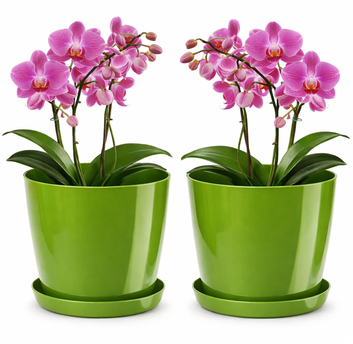 Omgoods - Set van 2 Decoratieve Plant Potten met Schotel, Groene Kleur, 20 cm