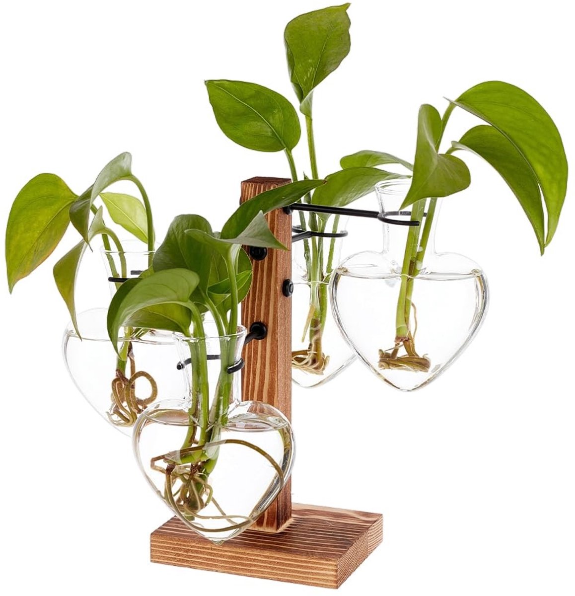 Omgoods - Set van 4 Plantenkweekstations met Houten Standaard en Glazen Vazen