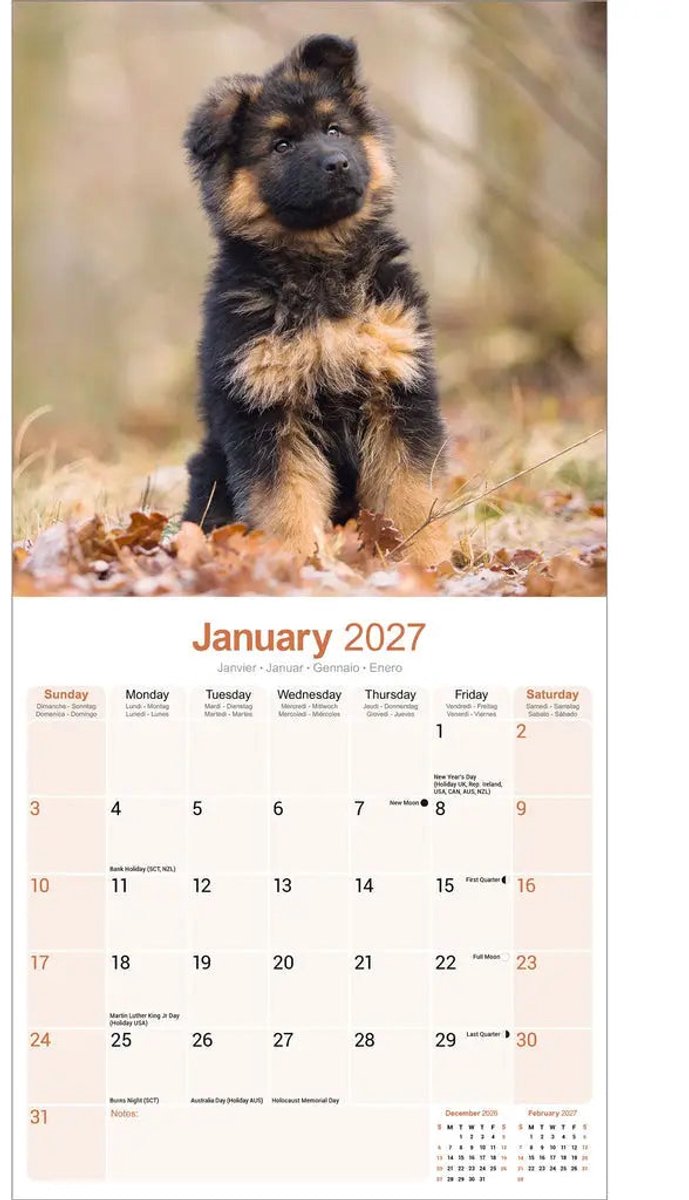 Duitse Herder Puppies Kalender 2027
