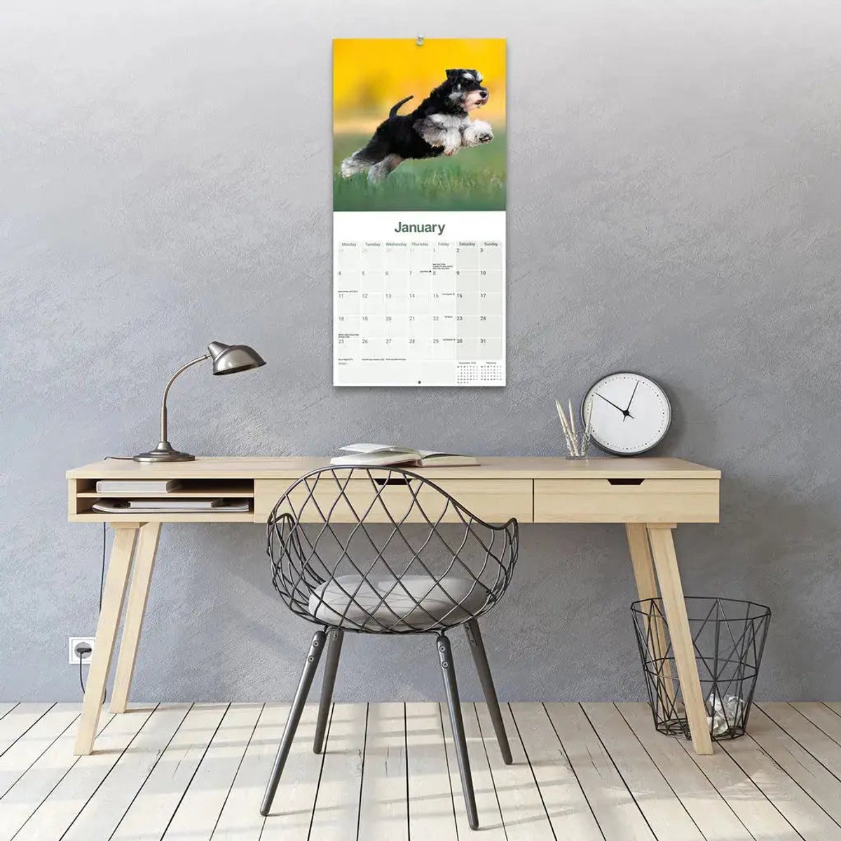 Miniatuur Schnauzer Kalender 2027
