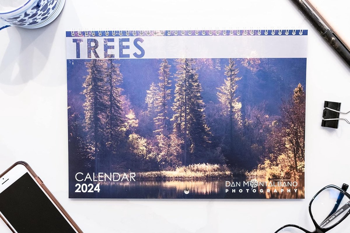 SnelShoppen - Bomen 2024 Wandkalender | Hangende Maandkalender A4 | Schitterende Natuurfoto's | Duurzaam Geprint