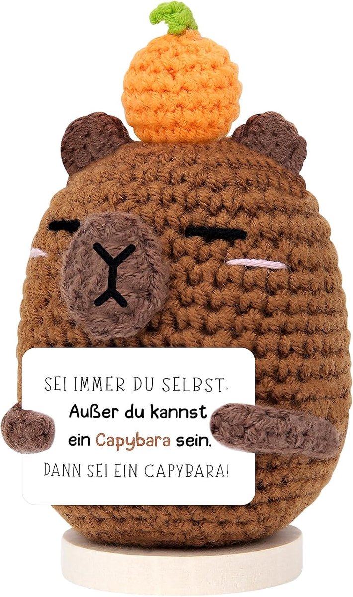 Positieve Capybara knuffeldier, capibara dingen, emotionele ondersteuning, geluksbrenger, capibara, pluche dier, tafeldecoratie, motivatiecadeau, grappige cadeaus voor vriend, familie