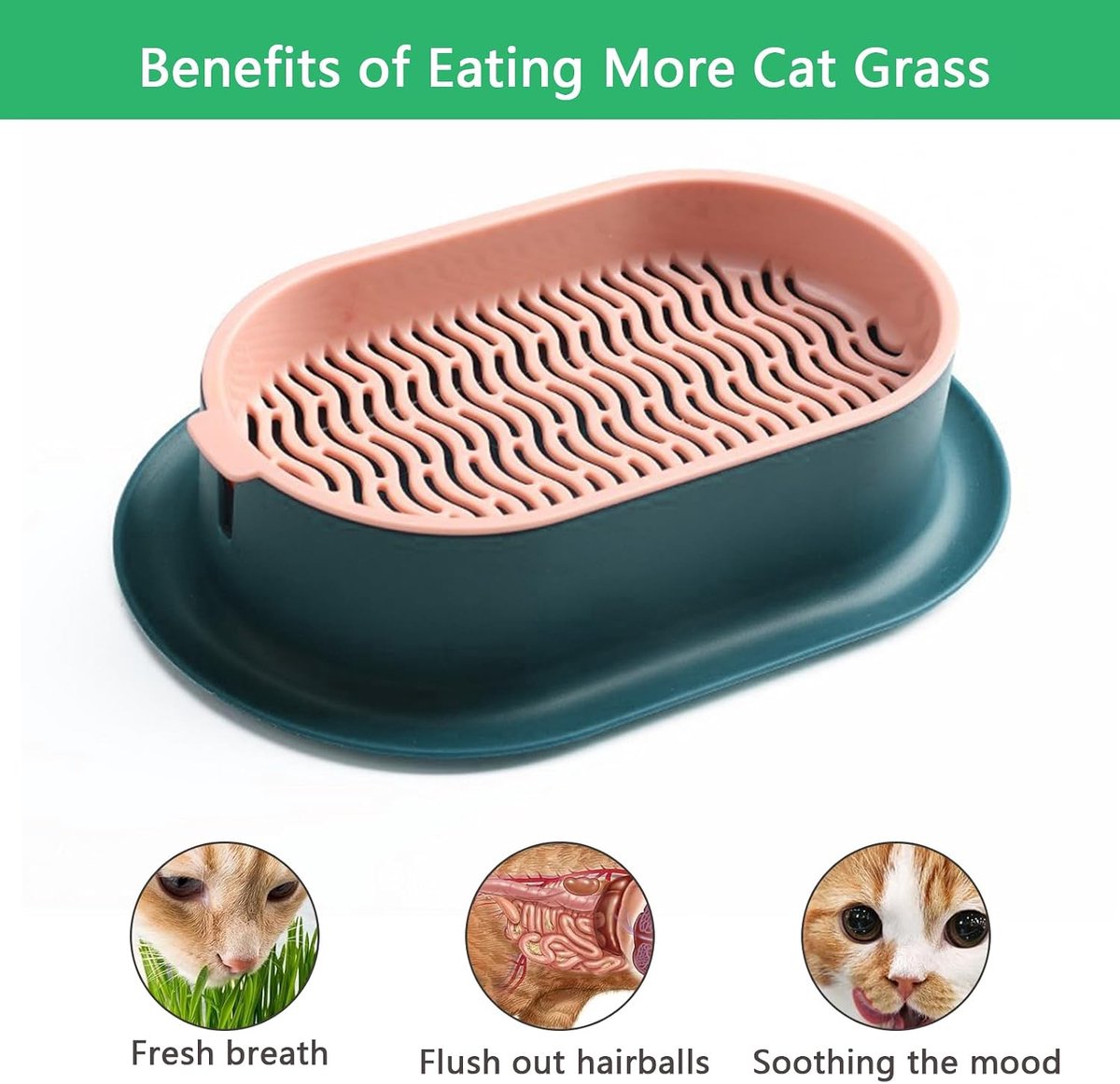2 stuks kattengras, kweekset, hydrocultuur, kiemschaal zonder aarde, kunststof 2-laags kattengras, schaal, zaadkiemschalen met 1 schare voor katten, kweekschaal voor kamer