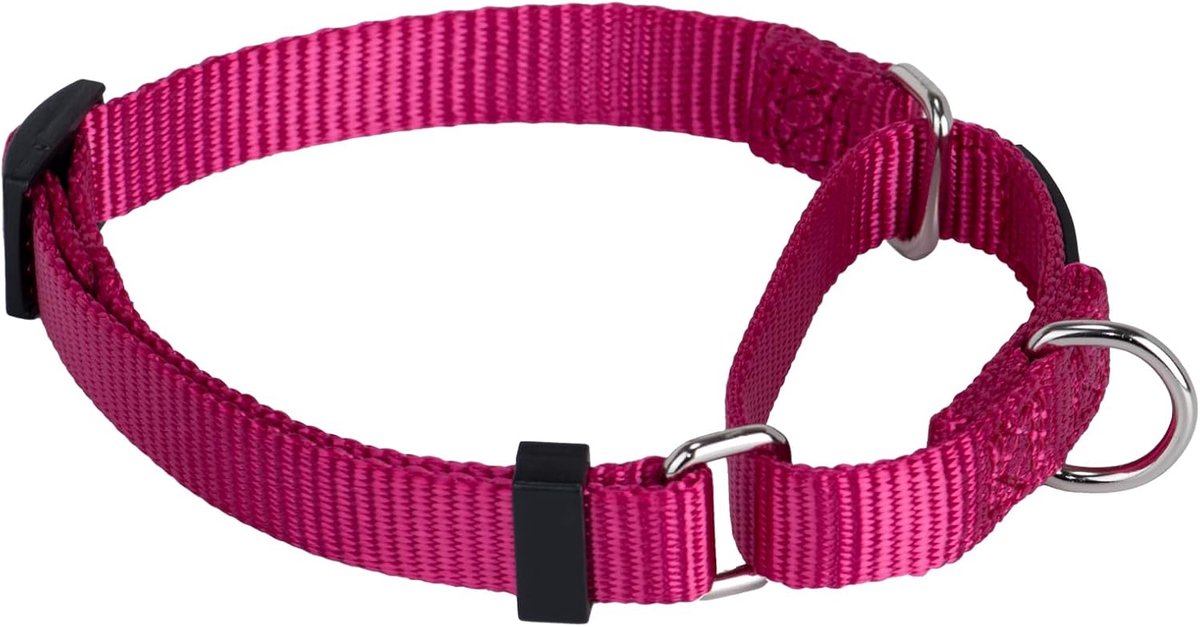 Pets Verbeterde robuuste nylon ontsnappingsbestendige Martingale-halsband voor kleine honden, comfortabel en veilig - professionele training, dagelijks wandelen en joggen (Small, rozerood)