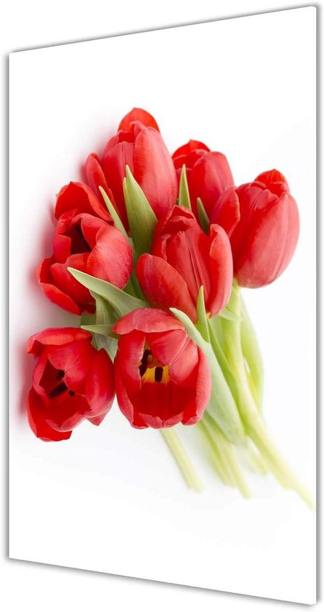 Schilderij op acryl glas - Wanddecoratie Kunstdruk - Muren Decoreren - Hoge Kwaliteit Print - 50x100 cm - Rood