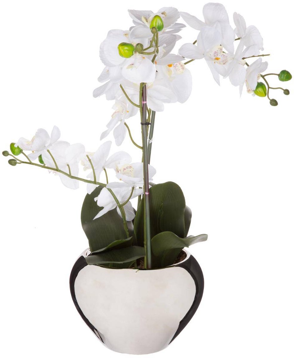 Kunstorchidee ORCHIDEE