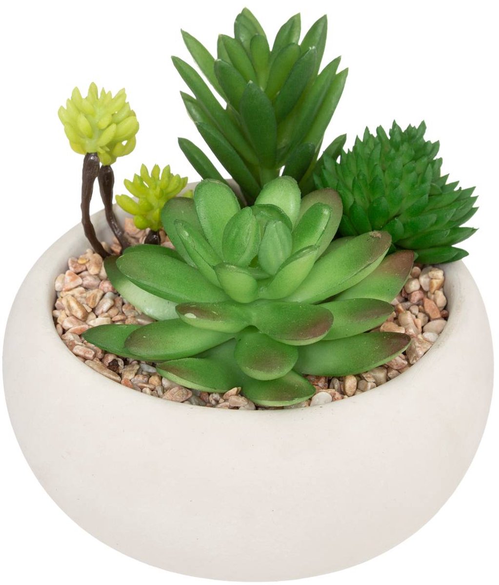 Kunstvetplant MIKI