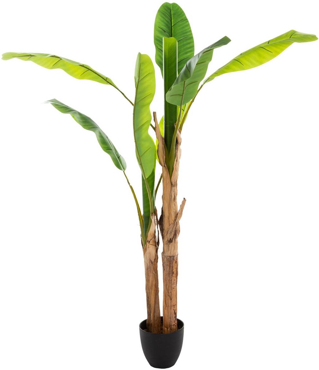 Dubbele kunstbananenboom
