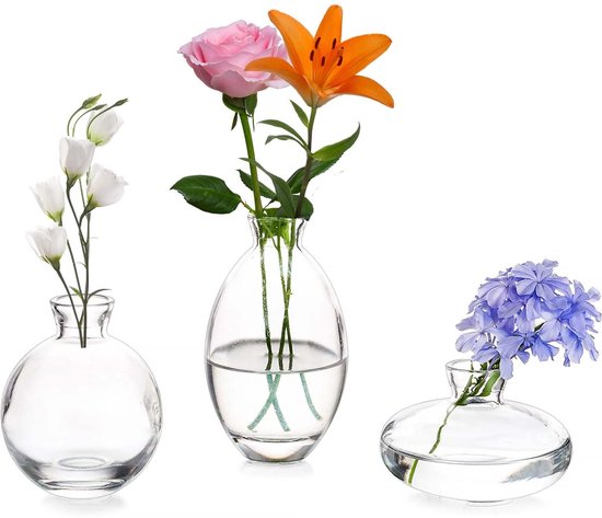 Omgoods - Set van 3 Transparante Glazen Vazen in Diverse Hoogtes