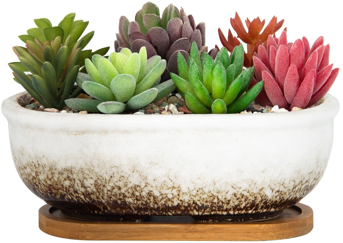 Omgoods - Rectangulaire Succulent Pot, 20 cm, met Drainagebakje, Wit