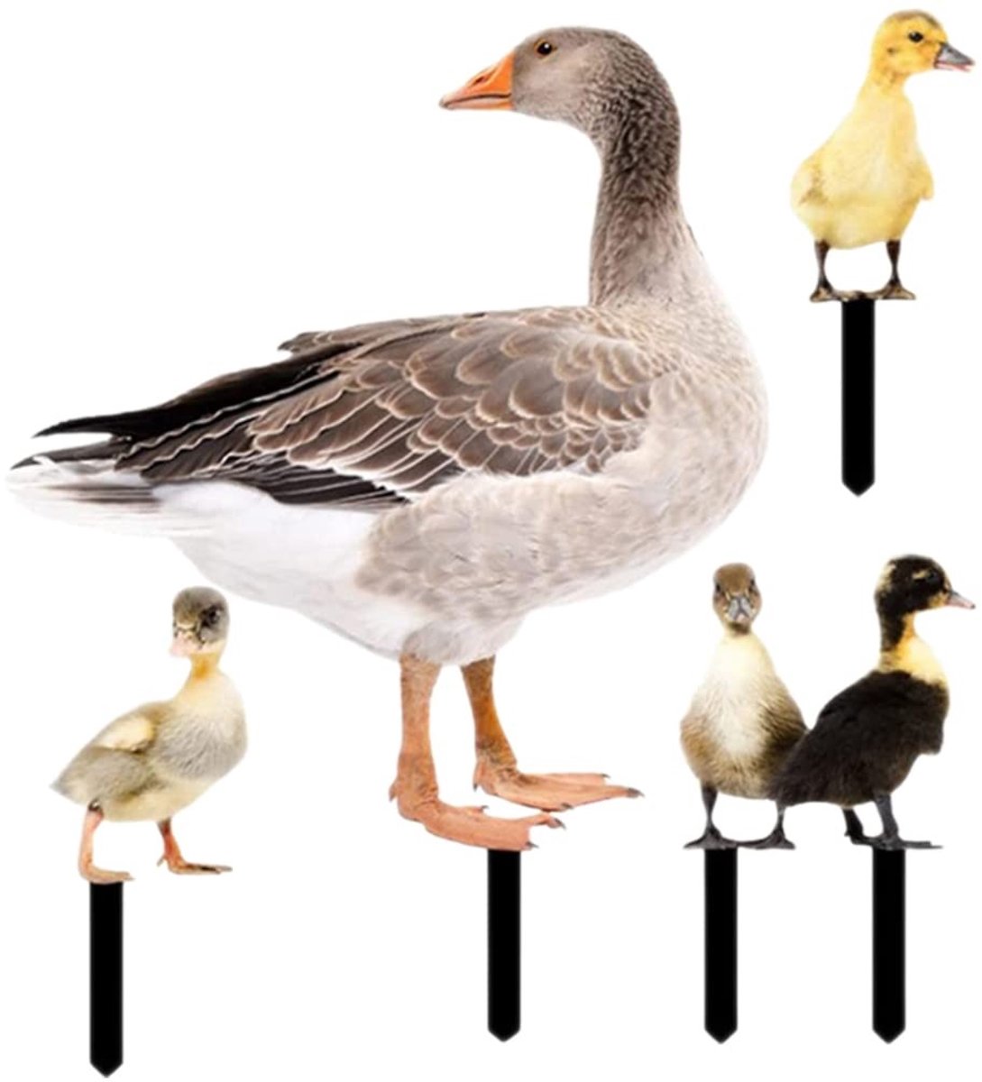 Omgoods - Set van 5 Decoratieve Eenden voor de Tuin