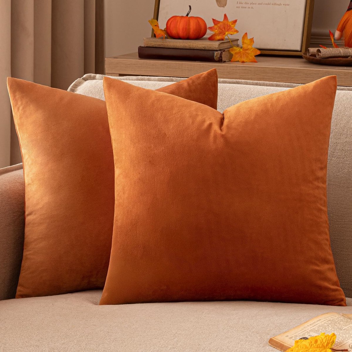 Omgoods - Set van 2 Velvet Kussenhoezen 40 x 40 cm voor Sofa