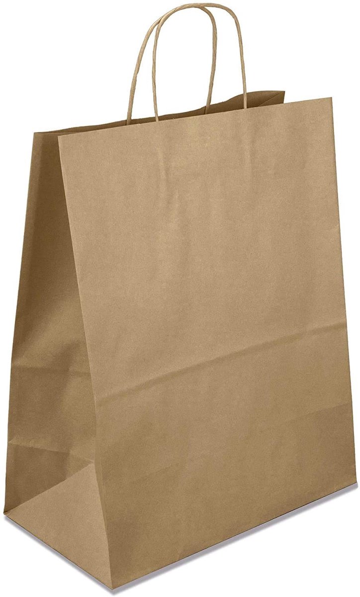 Omgoods - 20 Stuks Bruine Kraft Papieren Draagtassen met Handvatten