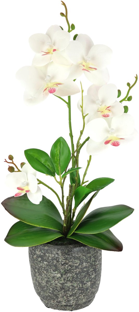 Omgoods - Kunstorchidee Phalaenopsis met Pot en Aerial Roots