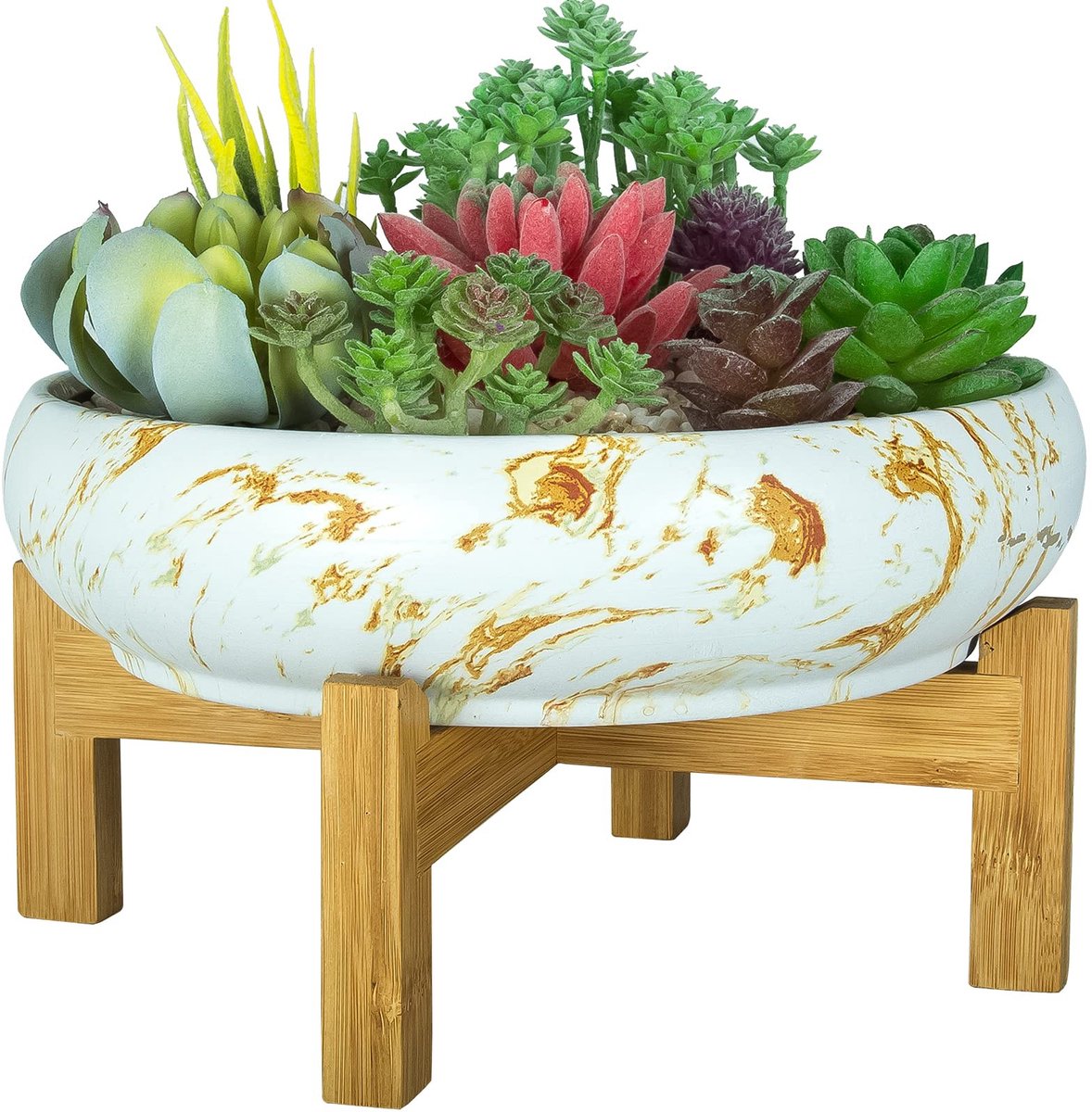 Omgoods - Grote Bonsai Pot, 10 Inch, met Drainage Stand voor Succulenten