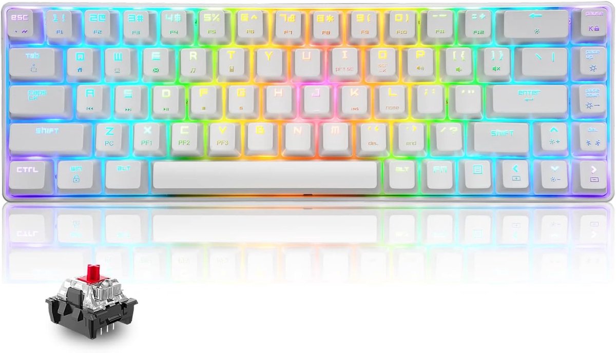 RGB 60% Mechanisch Toetsenbord, Bedraad Gamingtoetsenbord Compact 65% Layout, 18 RGB LED-Backlit QWERTY Mini 68 Toetsen Full Keys Anti-ghosting voor PS4, Xbox, PC, Laptop, MAC - White/Red Switch