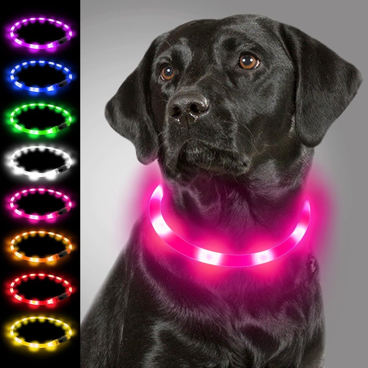 Hondenhalsband met Licht - USB Oplaadbare Lichtgevende Halsband - Roze - Veilig voor Kleine, Medium en Grote Honden - ShopVlot