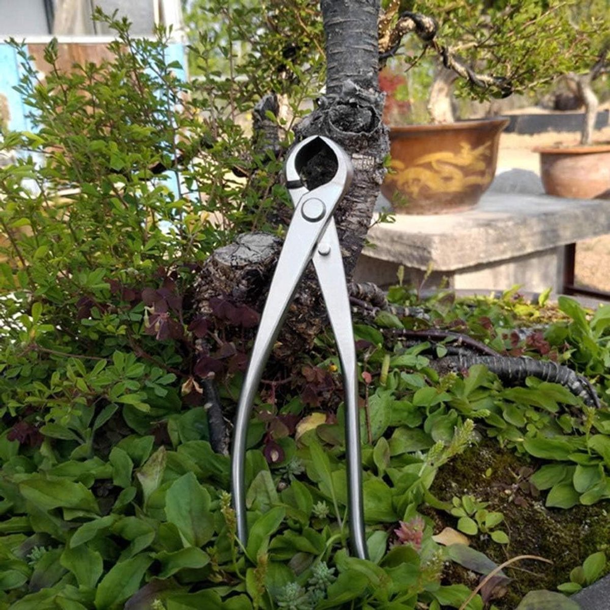Bonsai Snoeischaar - Knopsnijder Tuinschaar - Bomen Vormgeven - Concave Halfronde Incisie - 180 mm - Zilver