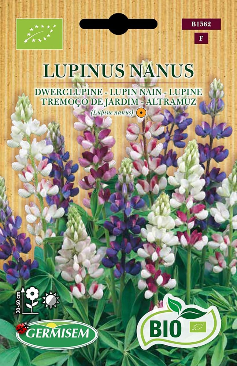 SnelShoppen - Organic Lupinus Nanus Lupine Seeds 1g - Mooie Kleuren, Perfect voor Buitenplanten, Eenvoudig Te Zaaien, Geschikt voor Tuin en Moestuin