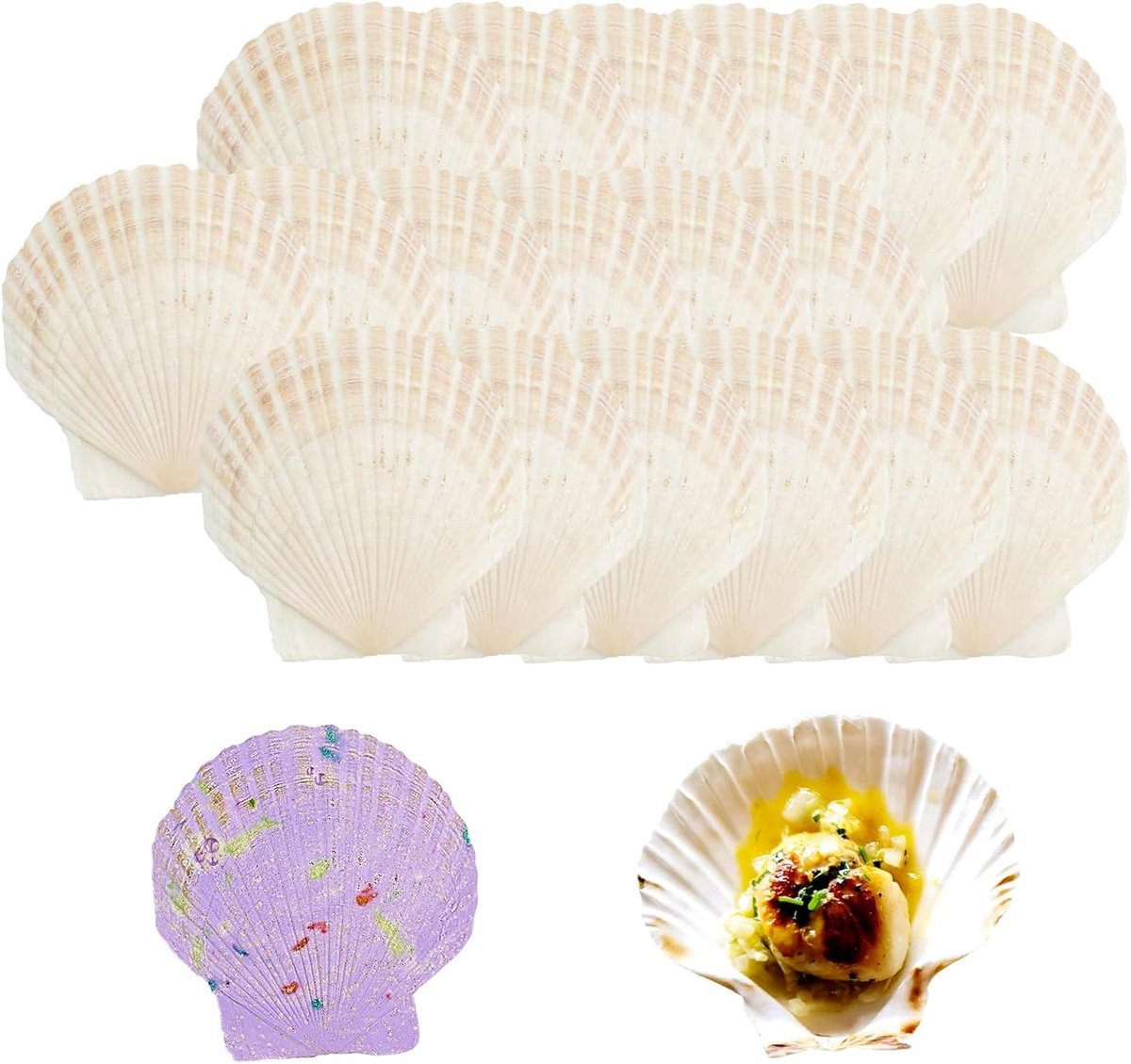 Natuurlijke Schelpen - Decoratie Schelpen - Ambachtelijk Knutselen - Glad Crèmig Oppervlak - 18 Stuks 10-12cm - Wit