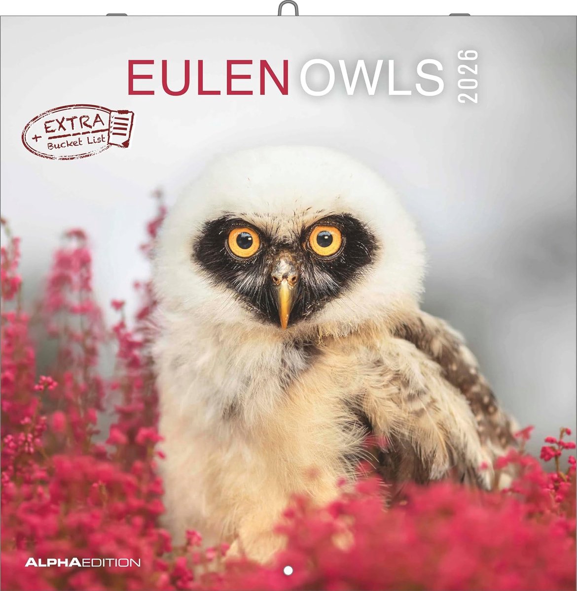 SnelShoppen - Eulen 2026 Wandkalender 30x30cm, Broschürenkalender met Notities, Maandelijkse Overzicht, Feriegegevens DE/AT/CH, Prachtige Eulen Motiev