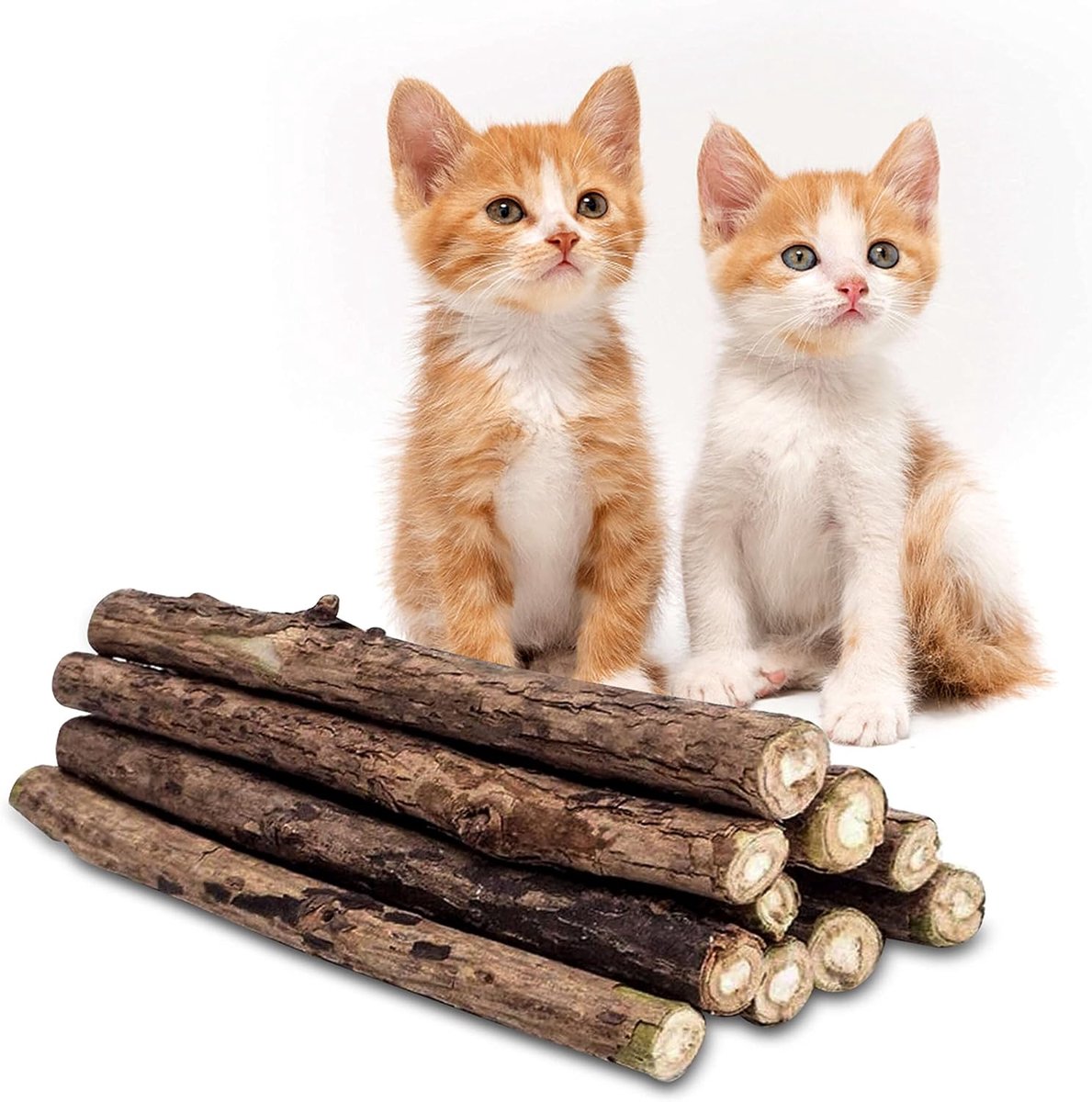 Thijox - Matatabi Stok | 10-Pak | Kalmerende Kattenkruid Stokjes voor Katten en Kittens | Mondhygiëne, Frisse Adem, Natuurlijk Biologisch Hout, Mint S