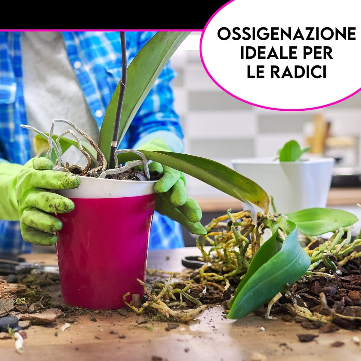 SnelShoppen - ZOMA Garden Orchid Bark 2L - Natuurlijke Orchidee Schors, Gewassen, Gesteriliseerd, 100% Eco-Vriendelijk, Ideaal voor Phalaenopsis, Dend