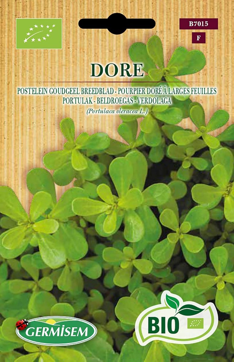 SnelShoppen - Germisem Biologische Dore Purslane Zaden 2 g - Grote Gouden Gele Bladeren - Fleshy en Knapperig - Perfect voor Salades en Soepen - Tuin
