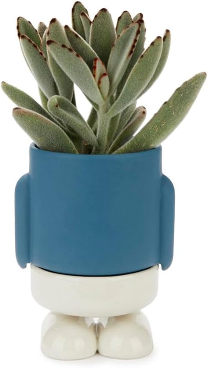 Mini bloempot - Plantenbakje keramiek - Planten decoreren - Geen onderzetter nodig - 13 x 8.5 cm - Blauw