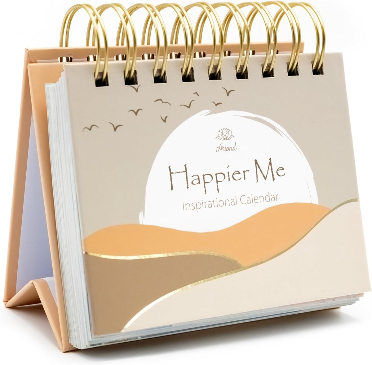 SnelShoppen - Motivational Desk Calendar - Perpetual Daily Flip Calendar met Inspirerende Citaten voor Desk, Inspirerende Cadeaus voor Vrouwen, Co-wor
