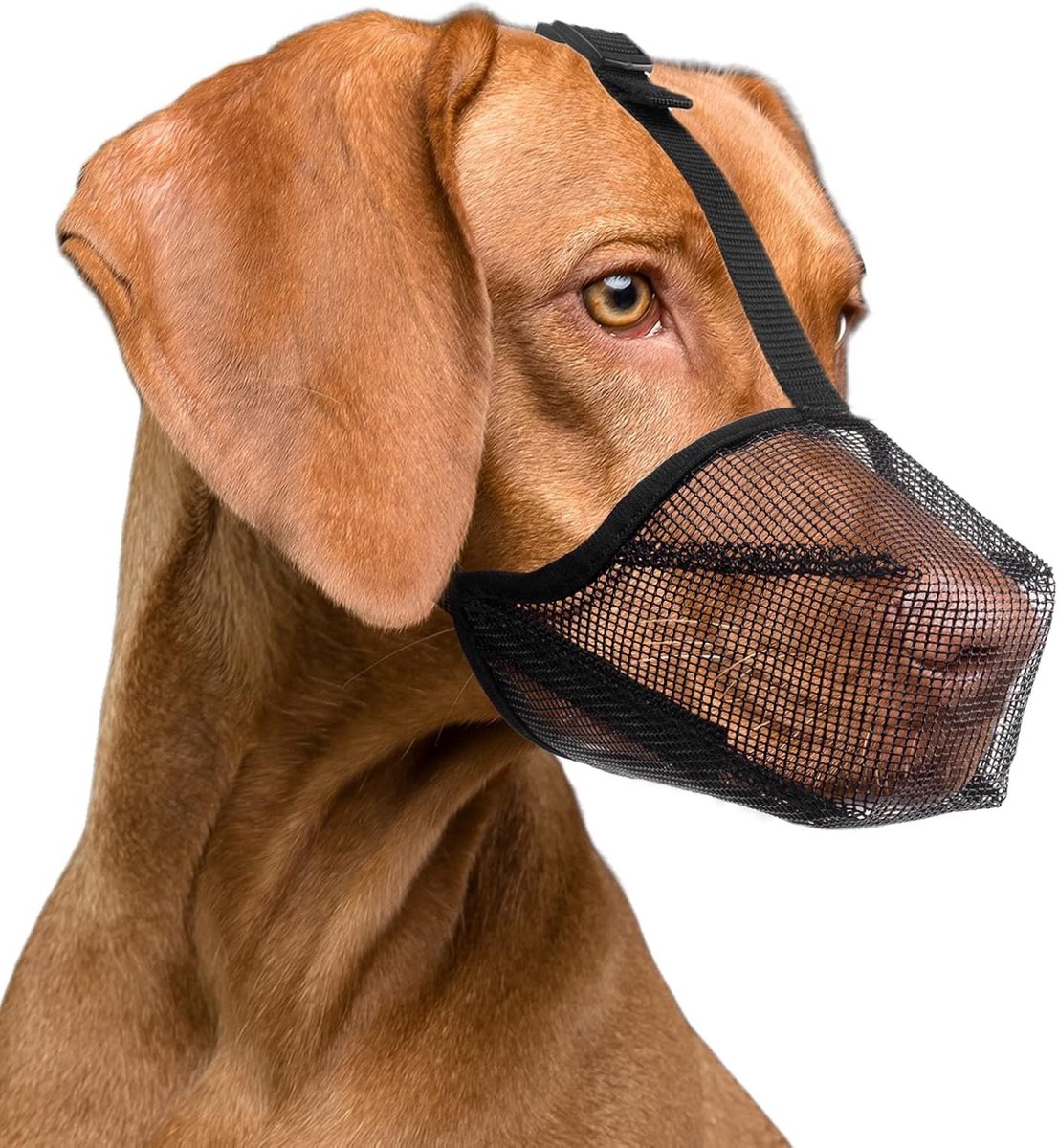 Dog muzzle with ventilation mesh, breathable muzzle for small to medium dogs, the solution against biting, eating waste from the street or chewing (M, Black)