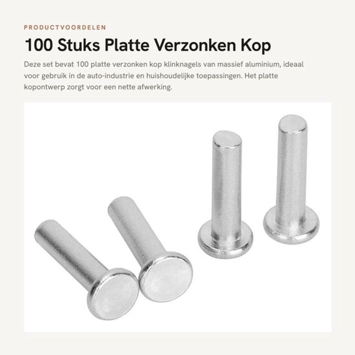 Klinknagels 100 Stuks - Platte Kop - Massief Aluminium - Klinknagelset - Voor Huishoudelijke Auto-industrie - Georganiseerd in Plastic Doos - Bevestigingsmiddelen