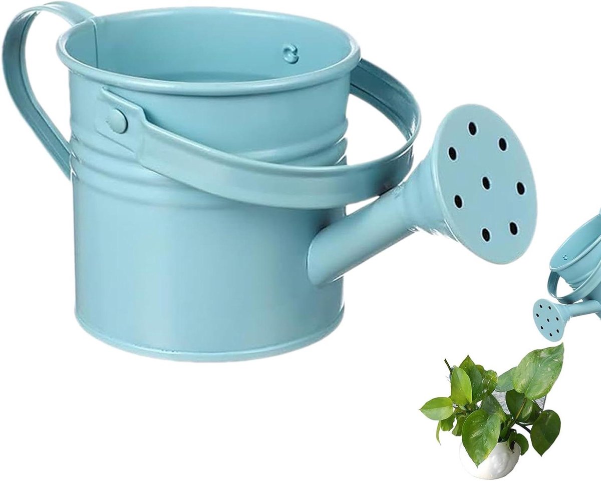 Gieter - Waterkan Bloemen - Planten Water Geven - Roestbestendig Gegalvaniseerd - 20 x 6 x 6 cm - Blauw