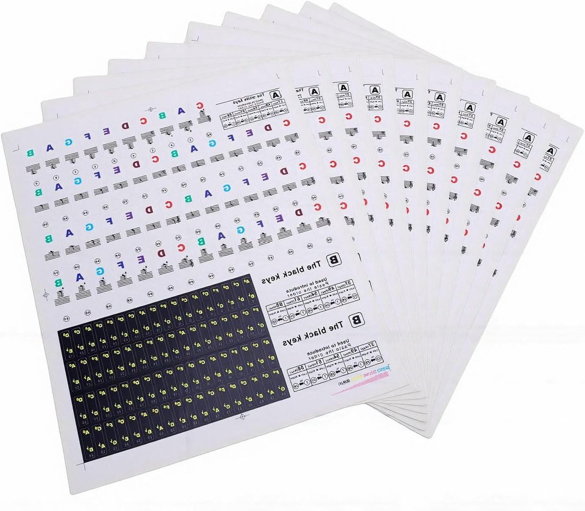 Pianotoetsenbord Stickers - Muzieknoten Labels - Muziek Leren - Waterdicht en Duurzaam - 37-88 Toetsen - Transparant
