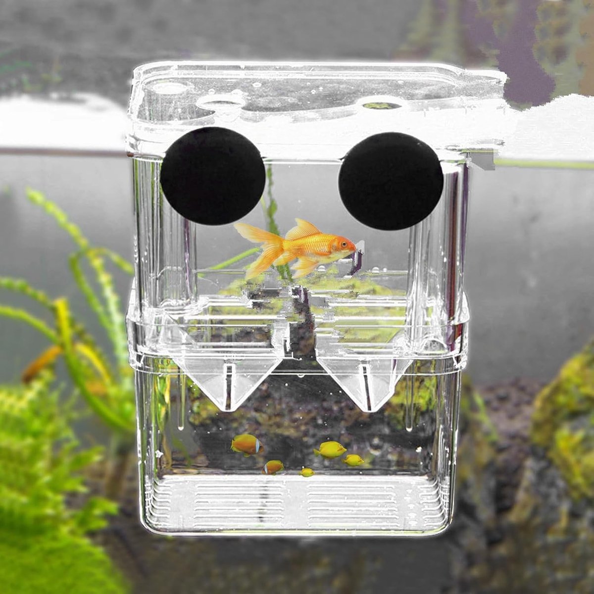 Kweekbak - Transparant - 13 x 7 x 10 cm - Kunststof Aquarium Kweekbak voor Kleine Vissen en Garnalen
