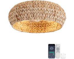 Inbouwventilator met lamp 19 inch - Dubbele bediening via app en afstandsbediening - Zes ventilatorsnelheden - ABS-bladen met rotan-design - Geschikt voor kleine slaapkamers - Minimalistische rustieke stijl