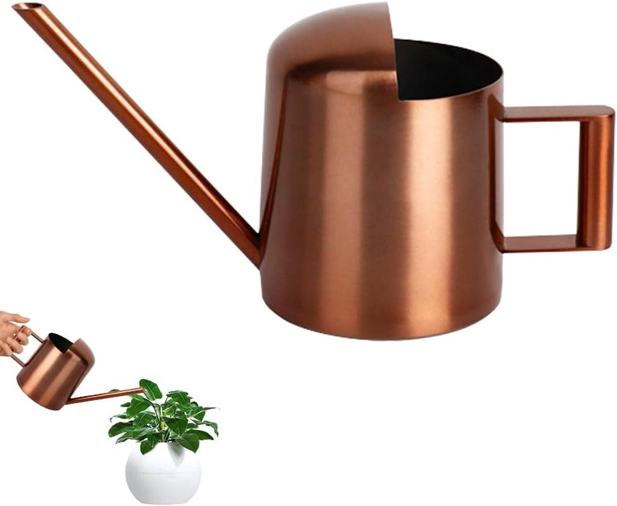 Mini Gietertje 300ml voor Binnenplanten - RVS met Lange Tuit voor Bloemen, Succulenten en Tuinplanten, Ideaal voor Thuis, Kantoor en Balkon