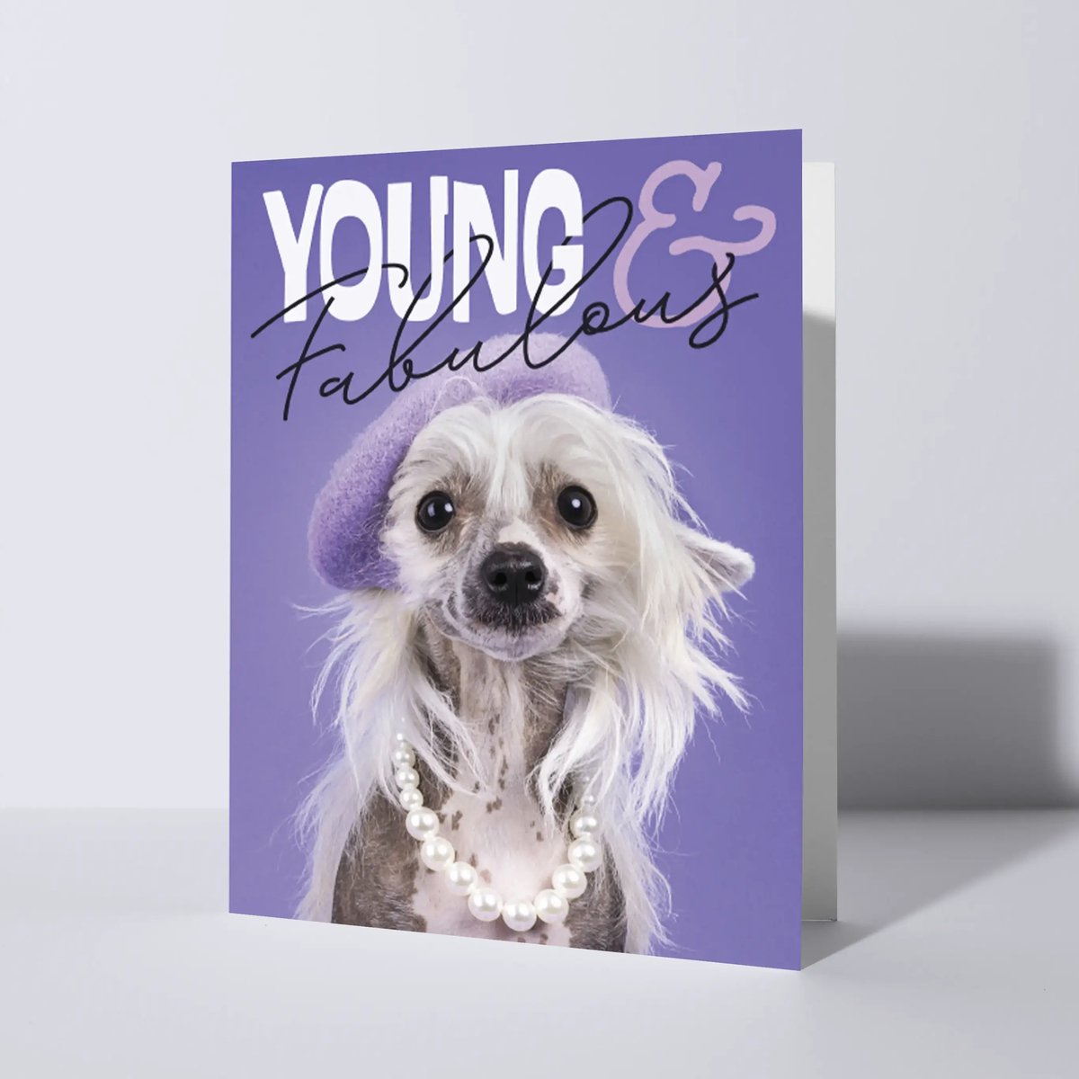 CAT'CHY Cards - wenskaart - verjaardag - hond - chinese naakthond