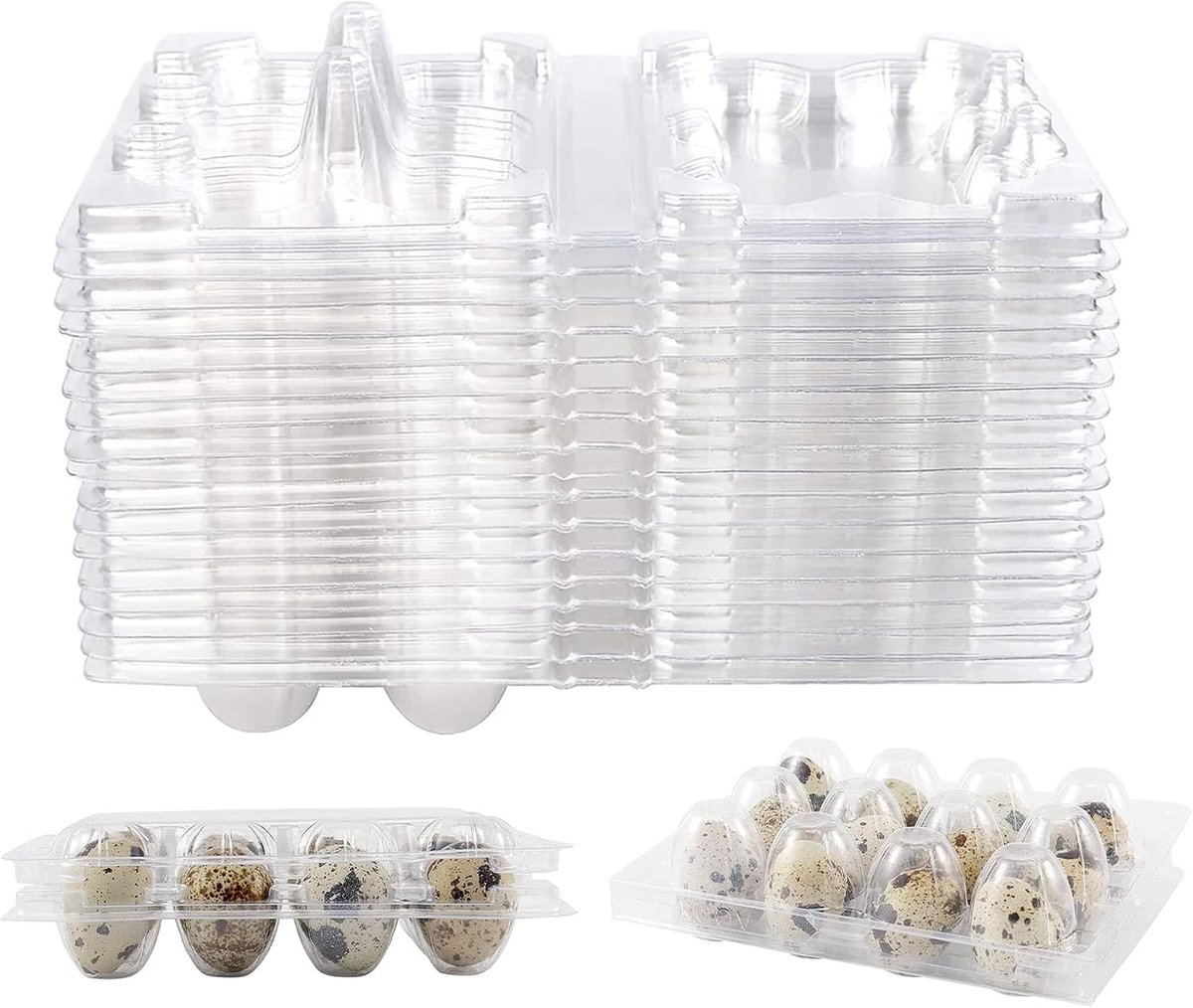 12-vaks Eieren Doos voor Kwartel Eieren - Kartonnen en Plastic Eiershouder met Deksel voor Kleine Eieren, Ideaal voor Opslag en Transport van Eieren